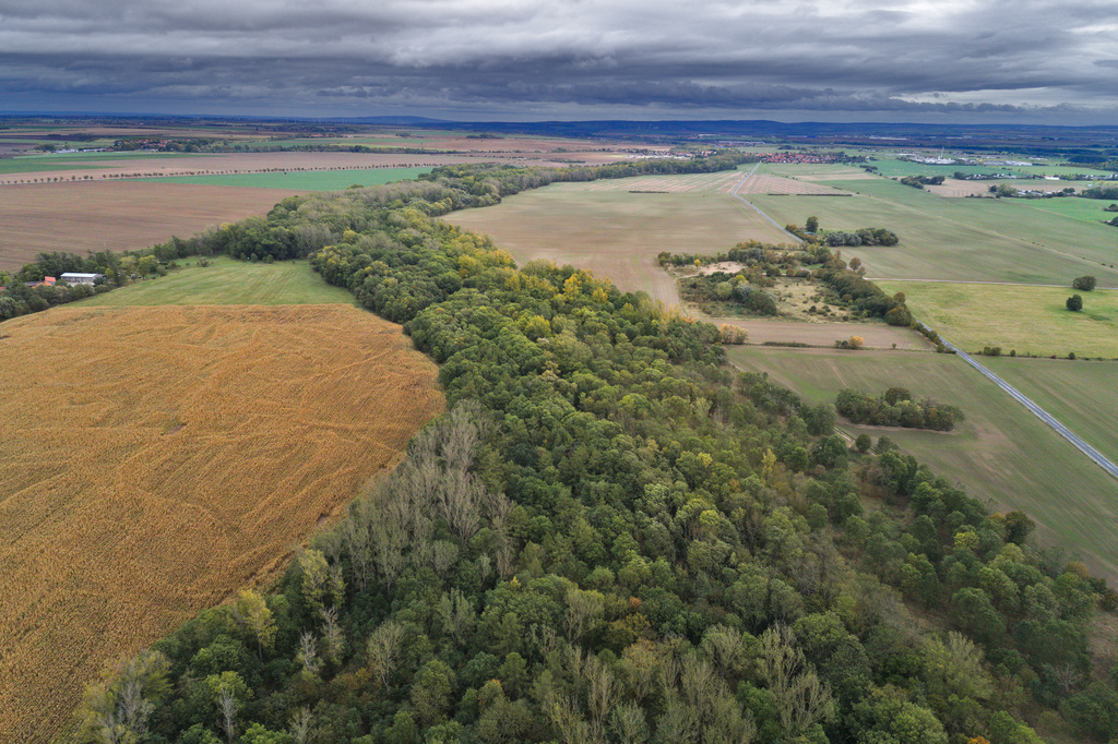 NSG 389, Blick von Westen auf das NSG "Apfelstädtaue von Wechmar bis Wandersleben" (Landkreis Gotha). Hinten rechts: der Ort Wandersleben, am linken Bildrand: Obermühle bei Seebergen. (Foto: V. Lautenbach/ThINK GmbH/Archiv TLUBN, 08.10.2020)