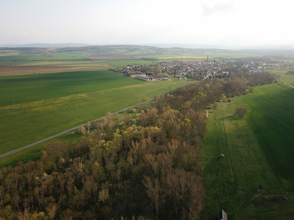 NSG 389, Blick von Nordosten auf den westlichen „Beginn“ des NSG "Apfelstädtaue von Wechmar bis Wandersleben" (Landkreis Gotha) am Ortsrand von Wechmar. Der Grünlandstreifen im Bild rechts gehört zum geschützten Landschaftsbestandteil (GLB) „Das Pferdegehege“. (Foto: Holm Wenzel, 01.05.2022)