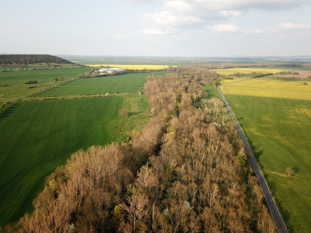 NSG 389, Blick vom Ortsrand Wechmar nach Nordosten auf das NSG „Apfelstädtaue von Wechmar bis Wandersleben" (Landkreis Gotha). Linke Bildmitte (Grünland im Acker): geschützter Landschaftsbestandteil (GLB) „Das Pferdegehege“, links hinten: südöstlicher Ausläufer des Großen Seeberges im NSG „Seeberg“ (Nr. 379) bei Seebergen. (Foto: Holm Wenzel, 01.05.2022)