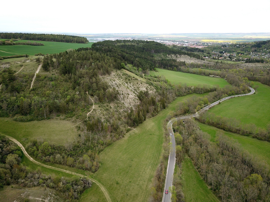 NSG 391, Blick von Südwesten auf den Wüsten Berg (geschützter Landschaftsbestandteil) und den Jungfernsprung (Flächennaturdenkmal) im unteren Jonastal bei Arnstadt (Ilm-Kreis). (Foto: Holm Wenzel, 10.05.2021)