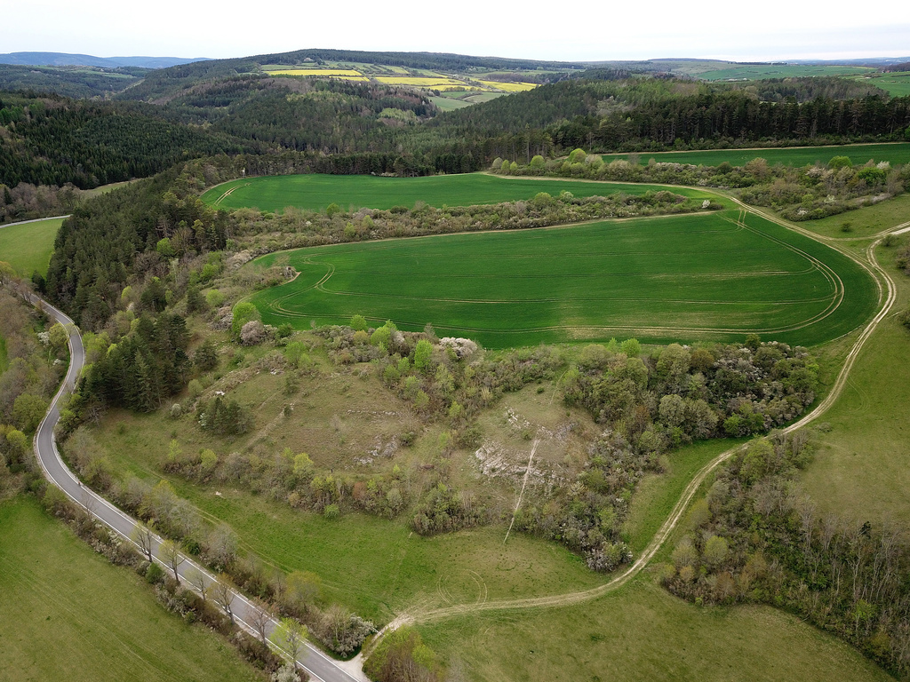 NSG 391, Blick von Ostnordost aus Richtung Wüster Berg auf die Westseite des Jonastals bei Arnstadt (Ilm-Kreis). (Foto: Holm Wenzel, 10.05.2021)
