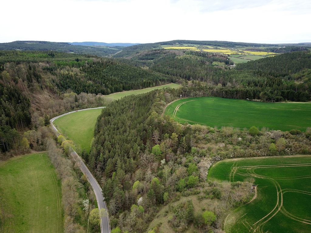 NSG 391, Blick von Nordost aus Richtung Wüster Berg in das Jonastal bei Arnstadt (Ilm-Kreis). (Foto: Holm Wenzel, 10.05.2021)