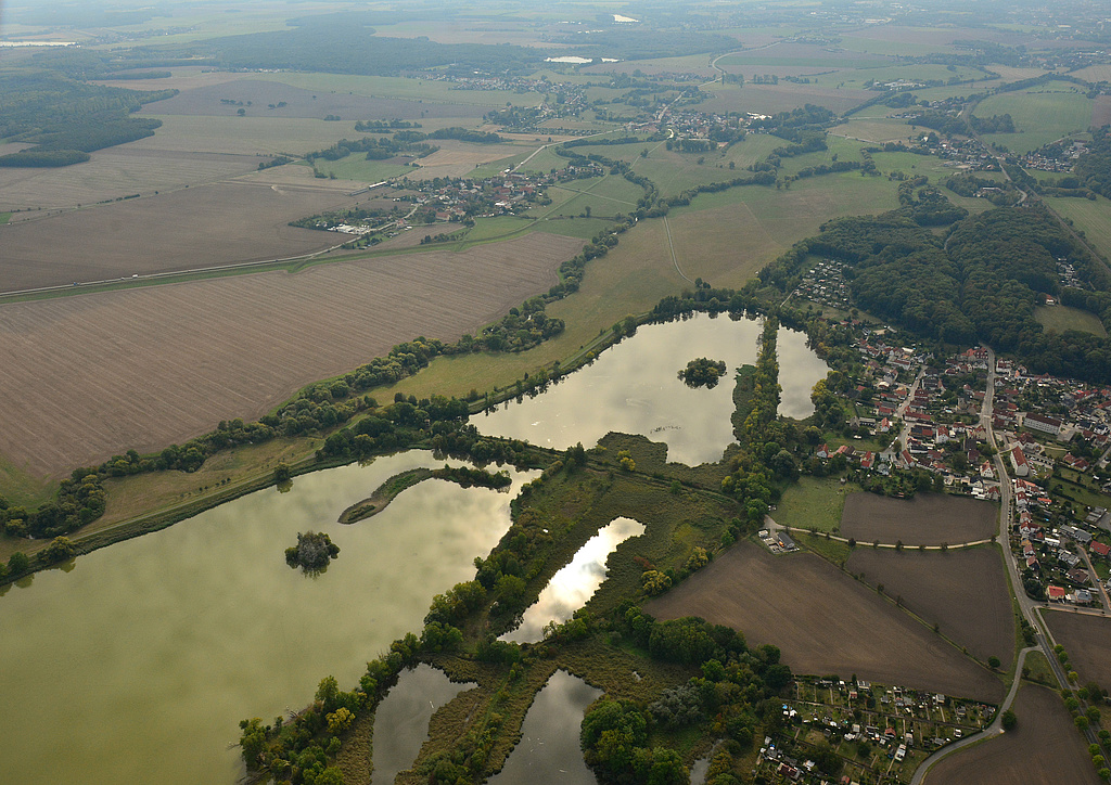 NSG 398, Blick von Nordnordwest auf das NSG "Haselbacher Teiche" (einschließlich Teil der Pleißeaue, Landkreis Altenburger Land). Rechts: der Ort Haselbach. (Foto: Detlef Stremke/Archiv TLUBN, 23.09.2019)