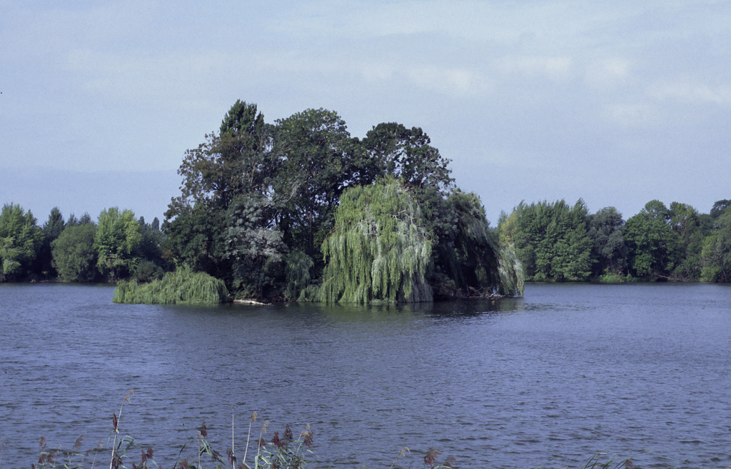 NSG 398, „Der See“ mit Insel im NSG „Haselbacher Teiche“ (Landkreis Altenburger Land). (Foto: Holm Wenzel, 21.08.1992)