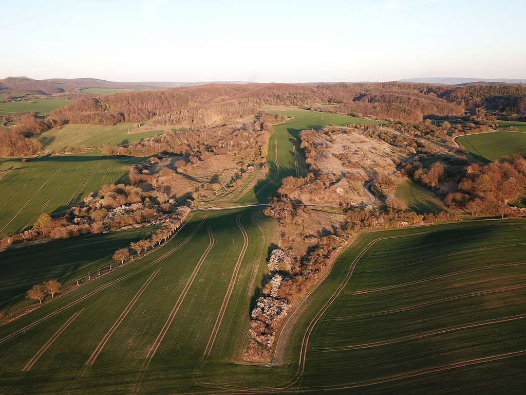 NSG 408, Blick von Nordwesten auf westliche Teilbereiche des NSG „Harzfelder Holz“ (Landkreis Nordhausen). Vorn Mitte bis links: Hopfenberg, vorn Mitte bis rechts: Johanneskopf, Söteberg und „Am Rüdigsdorfer Felde“, ganz hinten links: der Südharz, ganz hinten rechts: der Kyffhäuser. (Foto: Holm Wenzel, 17.04.2022)
