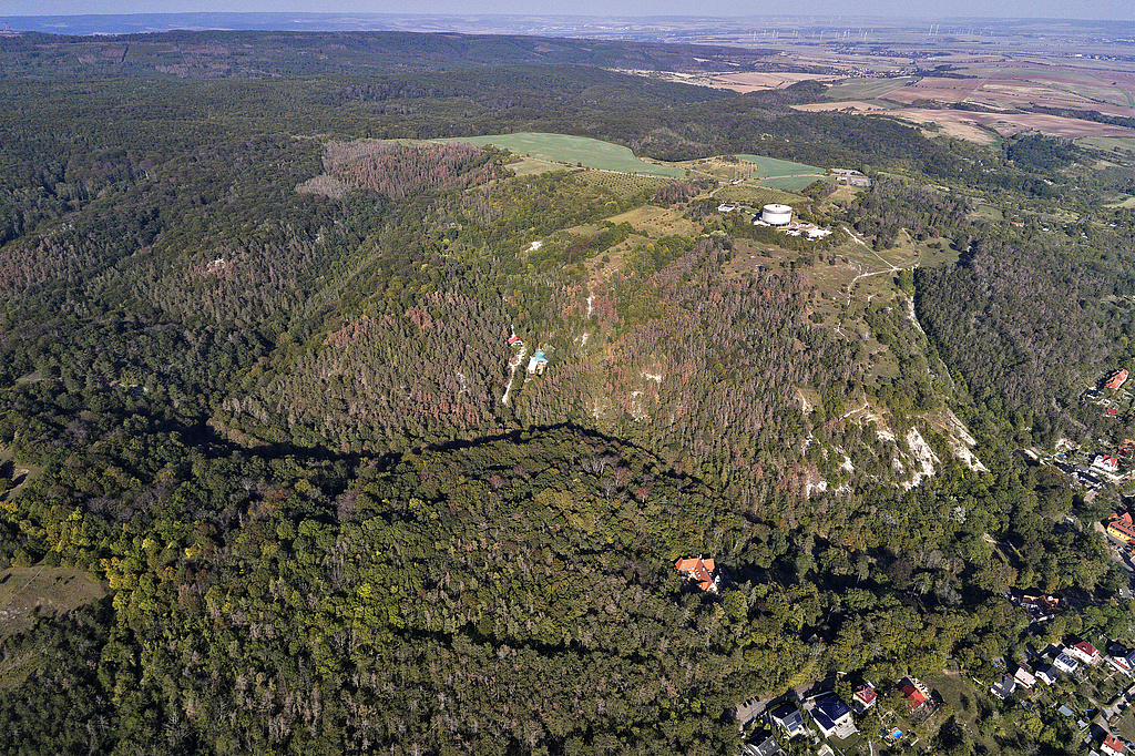 NSG 448, Blick von Westsüdwest auf das NSG „Süd-Ost-Kyffhäuser“ (Kyffhäuserkreis) nördlich und nordöstlich Bad Frankenhausen (vorn rechts) mit dem Schlachtberg (Bildmitte halbrechts) rund um das Panorama-Museum der Bauernkriegs-Gedenkstätte, Napptal (Bildmitte), Klocksberg (Bildmitte halblinks) und Scheitsköpfe (Bildmitte links), jeweils mit aus der forstlichen Nutzung genommenen Waldflächen. Vorn links (vor dem im Bild quer verlaufenden Tal mit der Bundesstraße B 85): Aus der forstlichen Nutzung genommener Wald im NSG „Süd-West-Kyffhäuser“ (Nr. 320). (Foto: V. Lautenbach/ThINK GmbH/Archiv TLUBN, 21.09.2020)