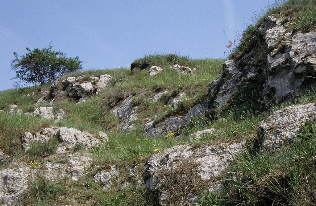 NSG 448, Gipsfelsen im Komplex mit Steppenrasen an steilem Hang am Lückenhügel zwischen Bad Frankenhausen und Udersleben im NSG „Süd-Ost-Kyffhäuser“ (Kyffhäuserkreis). (Foto: Holm Wenzel, 03.05.2009)