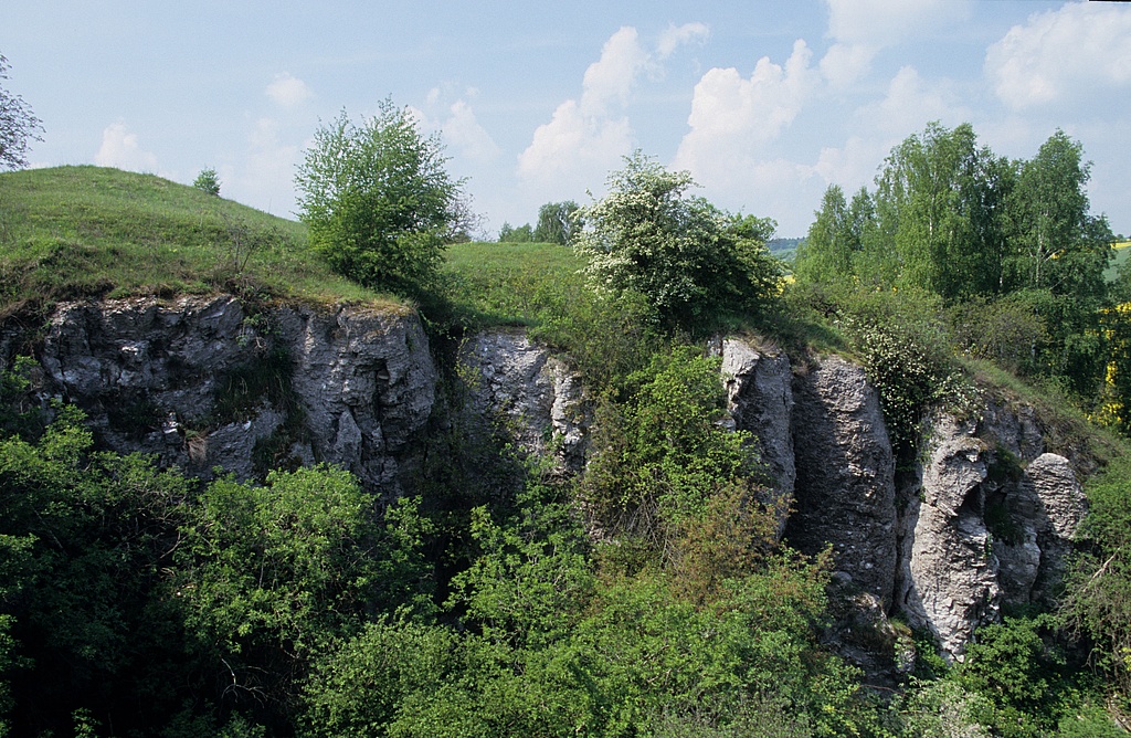 NSG 448, Gipsfelsen und dahinter Trespen-Schwingel-Kalk-Trockenrasen im Flächennaturdenkmal „Donslöcher“ westlich Udersleben im NSG „Süd-Ost-Kyffhäuser“ (Kyffhäuserkreis). (Foto: Holm Wenzel, 03.05.2009)