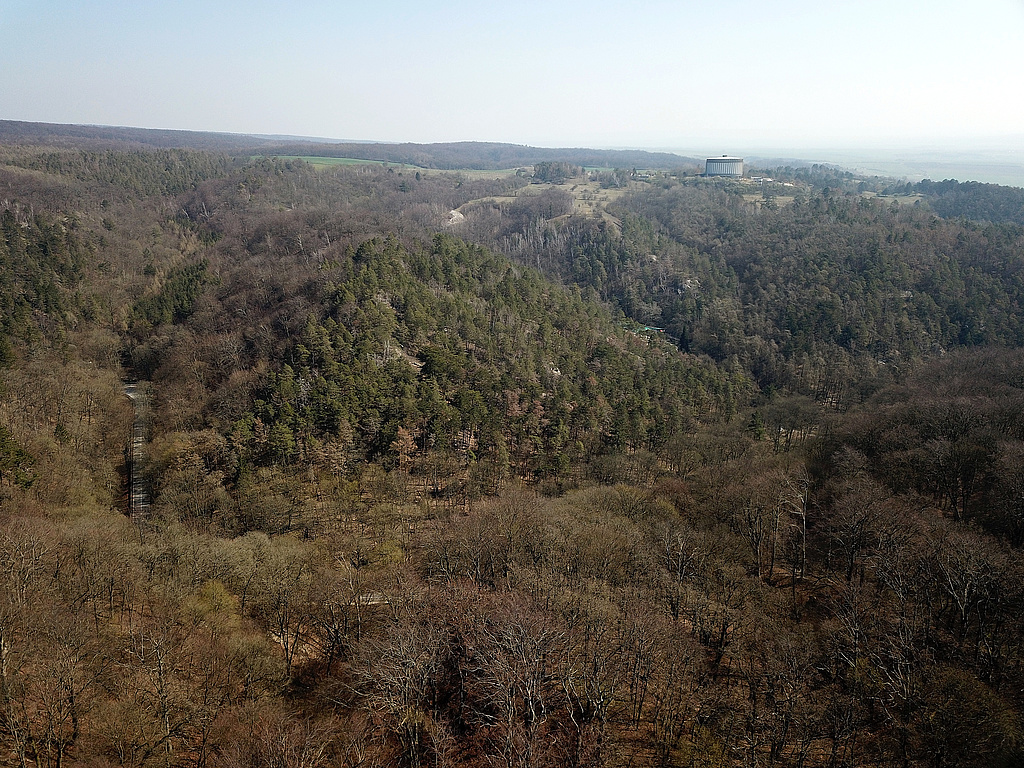 NSG 448, Blick aus Richtung Galgenberg (NSG Nr. 320 „Süd-West-Kyffhäuser“) nach Ostnordost auf den Klocksberg (im Waldgebiet ohne forstliche Nutzung Nr. 47 „Süd-Kyffhäuser“) und über das Napptal zum Schlachtberg mit dem Panorama-Museum der Bauernkriegs-Gedenkstätte nördlich Bad Frankenhausen, NSG „Süd-Ost-Kyffhäuser“ (Kyffhäuserkreis). (Foto: Holm Wenzel, 04.05.2020)