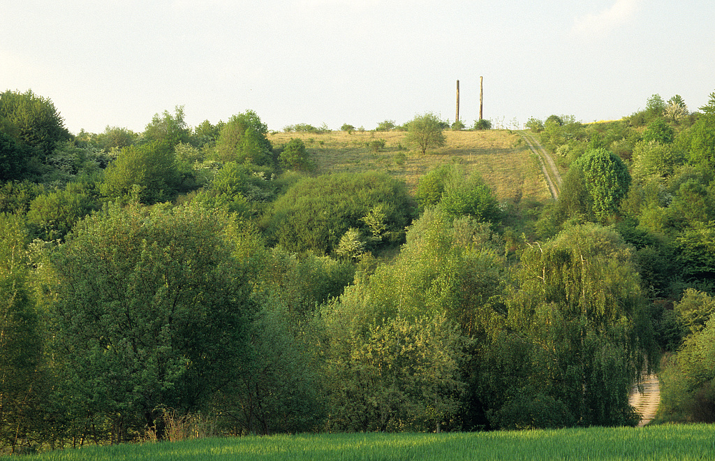 NSG 454, ehemaliger Grenzstreifen nordnordwestlich Wehnde an der Landesgrenze zu Hessen im NSG „Grenzstreifen zwischen Teistungen und Ecklingerode“ (Landkreis Eichsfeld), Blick über das Lindenbachtal nach Nordnordosten zum „West-Östlichen Tor“. (Foto: Holm Wenzel, 28.04.2007)