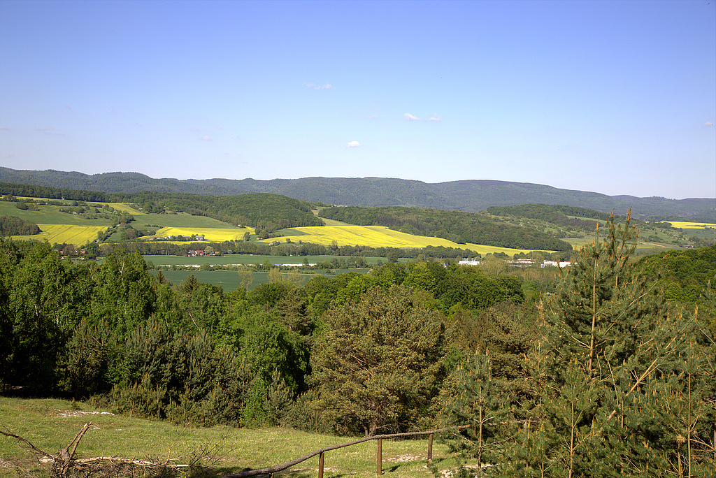 NSG 474, Blick von den Sattelköpfen (NSG Nr. 314) nördlich Hörningen nach Nordosten auf das NSG „Bromberg – Mühlberg bei Woffleben“ (Landkreis Nordhausen), Bildmitte links: Mühlberg bei Woffleben, Bildmitte halbrechts: Bromberg. (Foto: Holm Wenzel, 06.05.2018)