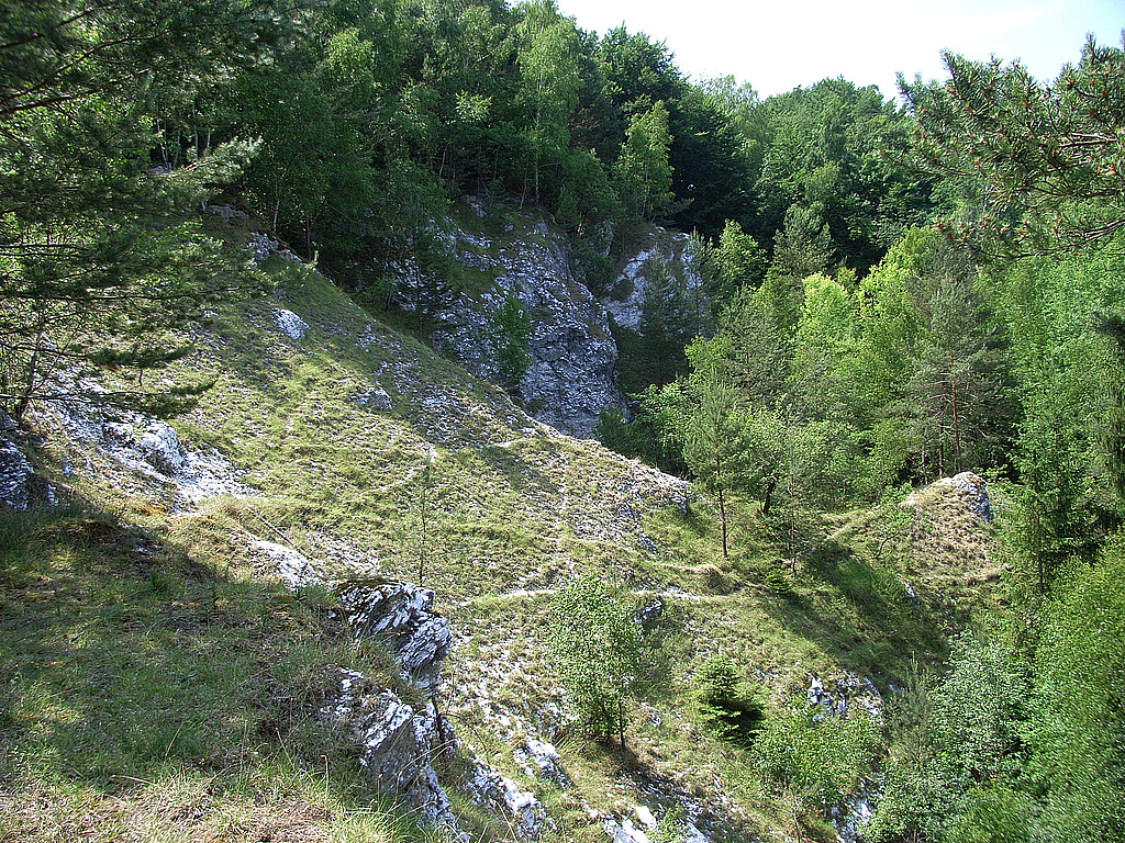 NSG 474, strukturreicher, seit den 1950-er Jahren aufgelassener Gipsbruch am Nordhang des NSG „Bromberg – Mühlberg bei Woffleben“ (Landkreis Nordhausen) im Bereich „Die Köpfe“ mit wertvollem Vegetationskomplex aus Gipsfelsen, Pionier-, Trocken- und Halbtrockenrasen. (Foto: Skadi Thiel/Archiv TLUBN, 07.06.2018)