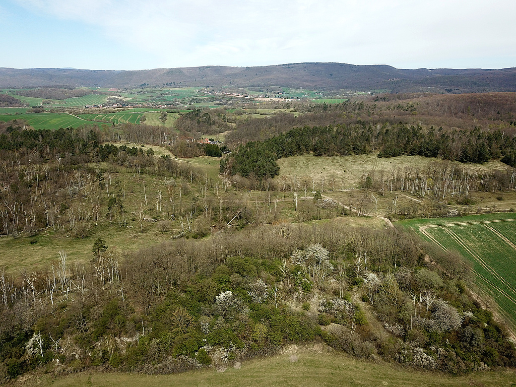 NSG 480, Blick von Südwesten auf nördliche Teile des NSG „Winkelberg“ zwischen Petersdorf und Rüdigsdorf (Stadt Nordhausen, Landkreis Nordhausen) mit Trommelsberg (vorn), Schindergraben und Kuhberg (links dahinter), hinten im Bild angrenzend: NSG „Rüdigsdorfer Schweiz“. Ganz hinten: der Südharz. (Foto: Holm Wenzel, 17.04.2022)