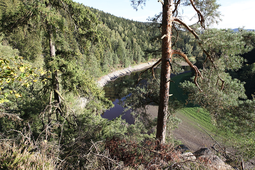 NSG 170, Blick vom zentralen Prallhangbereich der Saale an der Bleiloch-Talsperre im NSG „Alpensteig“ nördlich Harra (Saale-Orla-Kreis) nach Südsüdost. (Foto: Holm Wenzel, 29.09.2011)