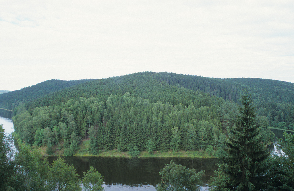 NSG 170, Blick von der Hammerleite südöstlich des Haltepunktes Harra Nord der Thüringischen Oberlandbahn über die Bleiloch-Talsperre der Saale nach Osten auf den westlichen Teil des NSG „Alpensteig“ nördlich Harra (Saale-Orla-Kreis) mit Fichten-Birken-Mischwald. (Foto: Holm Wenzel, 22.07.2001)