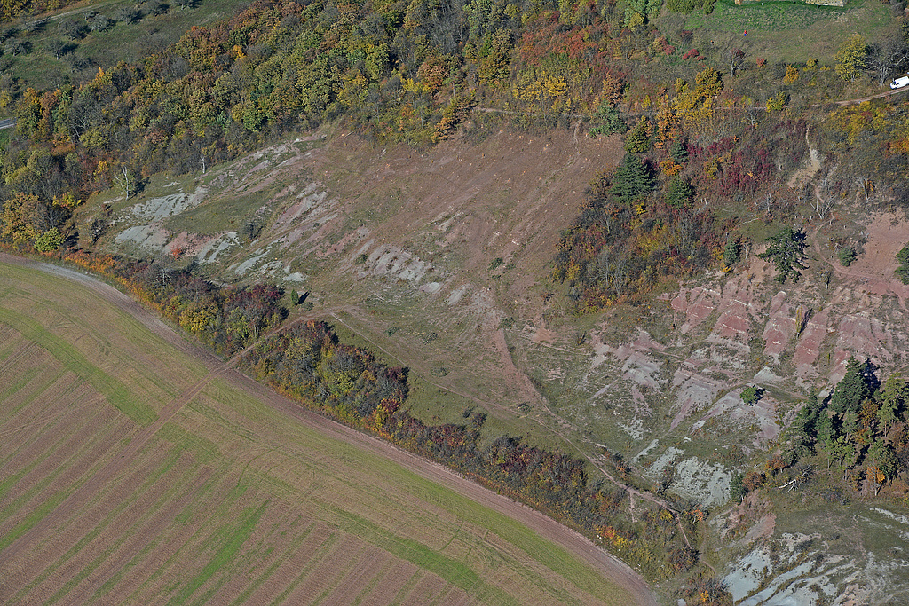 NSG 332, Blick von Südsüdost auf den südlichen Mittelhang des Burgberges der Burg Gleichen (= Wanderslebener Gleiche) mit sogenannten „badlands“ im NSG „Röhnberg“ bei Wandersleben (Landkreis Gotha) nach Pflegemaßnahmen (Entfernung von Schwarz-Kiefern) im Rahmen des Steppenrasen-EU-LIFE-Projektes. (Foto: Detlef Stremke/LaNaServ/Archive TMUEN und TLUBN, 22.10.2013)