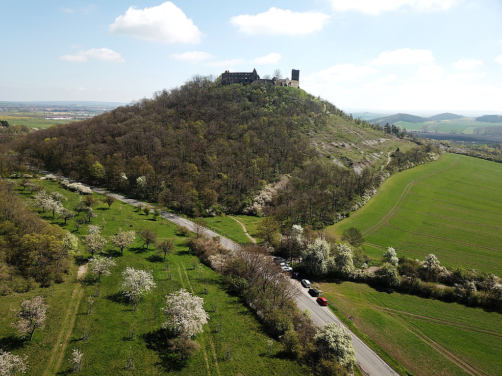 NSG 332, Blick von Südwesten (vom südöstlichen Unterhang des Kaffberges im Vordergrund) über die Straße Mühlberg – Wandersleben zum Burgberg der Burg Gleichen (= Wanderslebener Gleiche) mit sogenannten „badlands“ im NSG „Röhnberg“ bei Wandersleben (Landkreis Gotha) (Foto: Holm Wenzel, 30.04.2023)