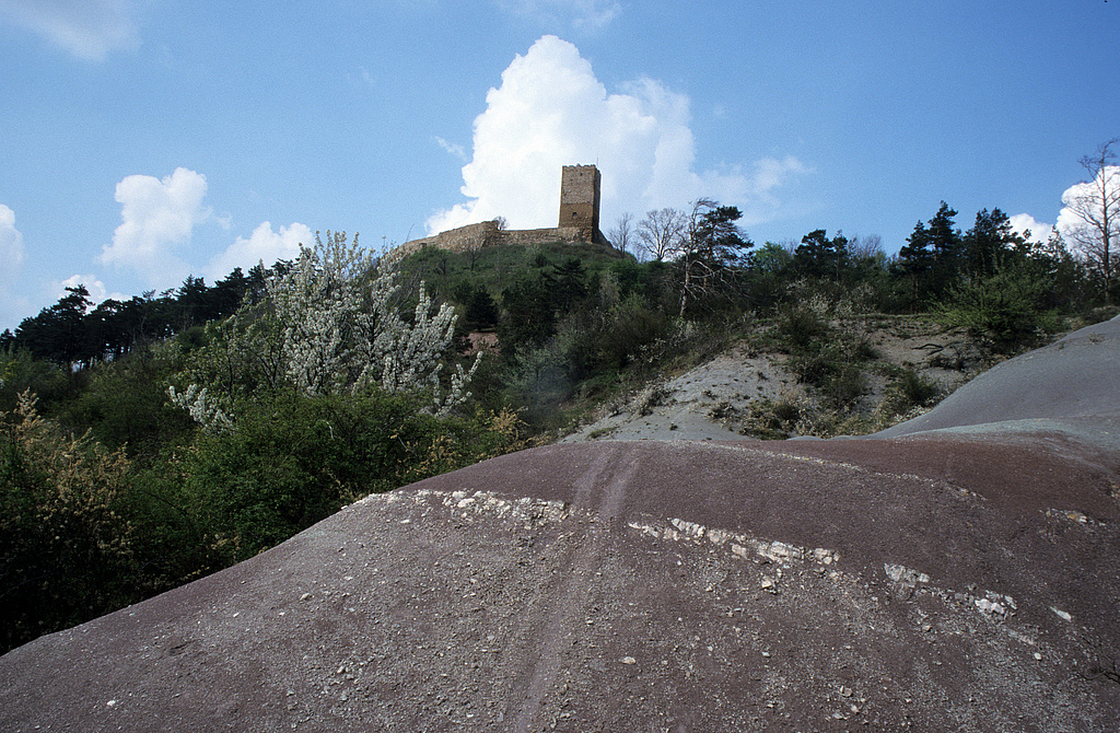 NSG 332, Keuper-Badlands der Arnstadt-Formation (Steinmergelkeuper) am südlichen Unterhang des Burgberges der Burg Gleichen (Wanderslebener Gleiche) im NSG „Röhnberg“ bei Wandersleben (Landkreis Gotha) – Teil eines Nationalen Geotops. (Foto: Holm Wenzel, 25.04.1999)