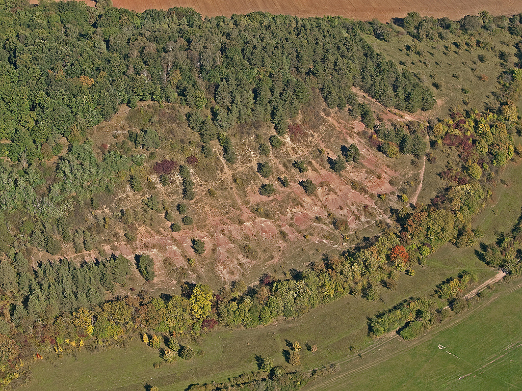 NSG 332, Südhang im Ostteil des Kallenberges mit seinen Keuper-Badlands und basiphilen Halbtrocken- und Trockenrasen im NSG „Röhnberg“ bei Wandersleben (Landkreis Gotha). (Foto: Detlef Stremke/LaNaServ/Archive TMUEN und TLUBN, 03.10.2013)