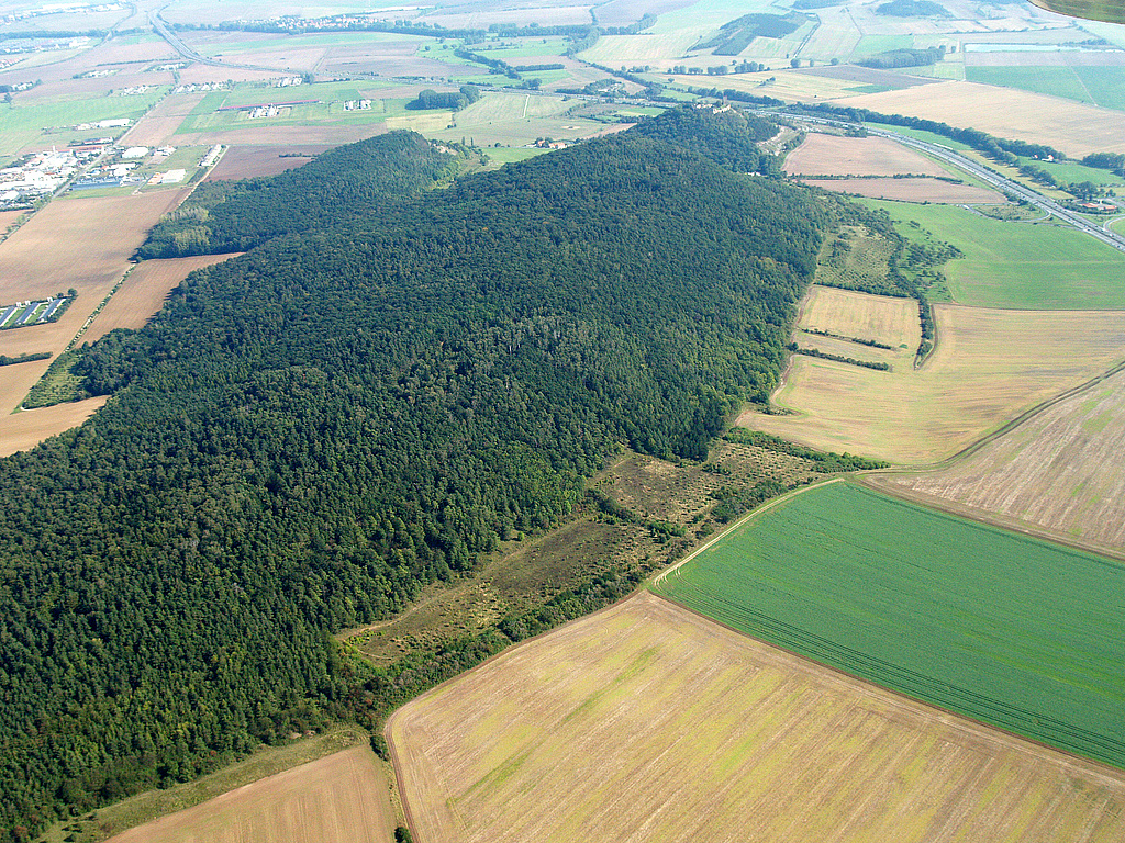 NSG 332, Blick von Westnordwest auf den Röhnberg (vorn links bis Bildmitte), Kaffberg und Burgberg der Burg Gleichen (Wanderslebener Gleiche) sowie den Kallenberg (schräg links oben) im NSG „Röhnberg“ bei Wandersleben (Landkreis Gotha). (Foto: Kersten Winter/LaNaServ/Archive TMUEN und TLUBN, 27.09.2009)