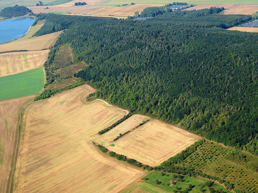 NSG 332, Blick von Südosten auf den Westteil des NSG „Röhnberg“ mit dem Röhnberg bei Wechmar und Wandersleben (Landkreis Gotha). Links oben: Talsperre Wechmar. (Foto: Kersten Winter/LaNaServ/Archive TMUEN und TLUBN, 27.09.2009)