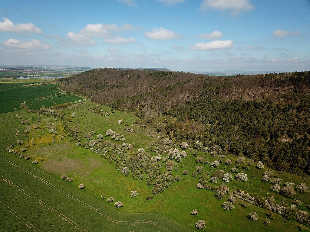 NSG 332, Blick von Südosten auf Kaffberg (rechts) und den anschließenden Röhnberg mit südlich vorgelagerten Streuobstwiesen im NSG „Röhnberg“ bei Wechmar und Wandersleben (Landkreis Gotha). Links hinten: Talsperre Wechmar. (Foto: Holm Wenzel, 30.04.2023)
