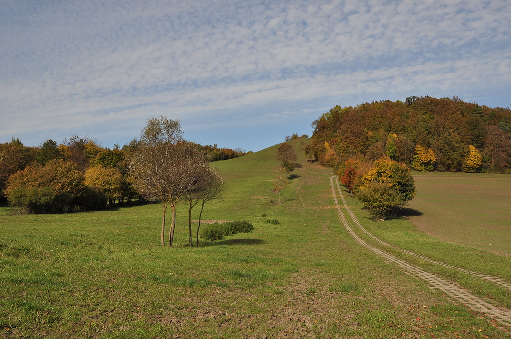 Nationales Naturmonument „Grünes Band Thüringen“: Im Naturschutzgebiet „Schlechtsarter Schweiz“. (Aufn. Holm Wenzel 09.10.2010)