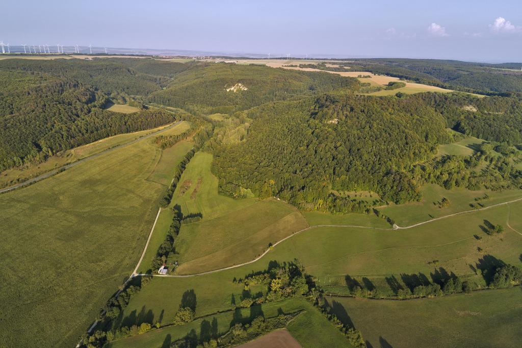 Naturpark "Eichsfeld - Hainich - Werratal" (Nr. 3): Blick von Südwesten auf die Muschelkalkhänge nördlich und nordwestlich Faulungen mit dem NSG "Klosterschranne - Faulunger Stein" (Unstrut-Hainich-Kreis). (Aufn. Think GmbH/V. Lauterbach, Archiv TLUBN)
