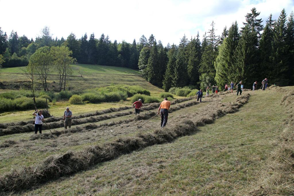 Mit NALAP geförderte Bergwiesenpflege durch den Jungdo-Hütte im Röthengrund e. V. im NSG „Röthengrund“ (FFH-Gebiet Nr. 174), Lkr. Sonneberg (Aufn. H. Wenzel 14.09.2019)