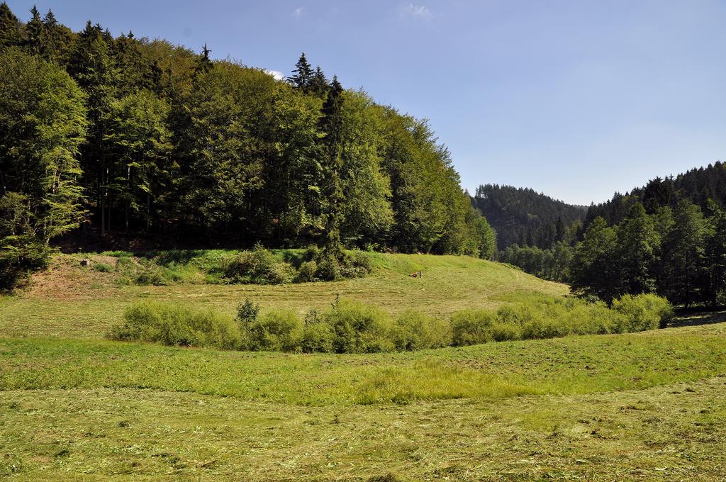 Mit NALAP geförderte Mahd im Rahmen der Bergwiesenpflege durch den Jungdo-Hütte im Röthengrund e. V. im NSG „Röthengrund“ (FFH-Gebiet Nr. 174), Lkr. Sonneberg (Aufn. H. Wenzel 20.08.2011)