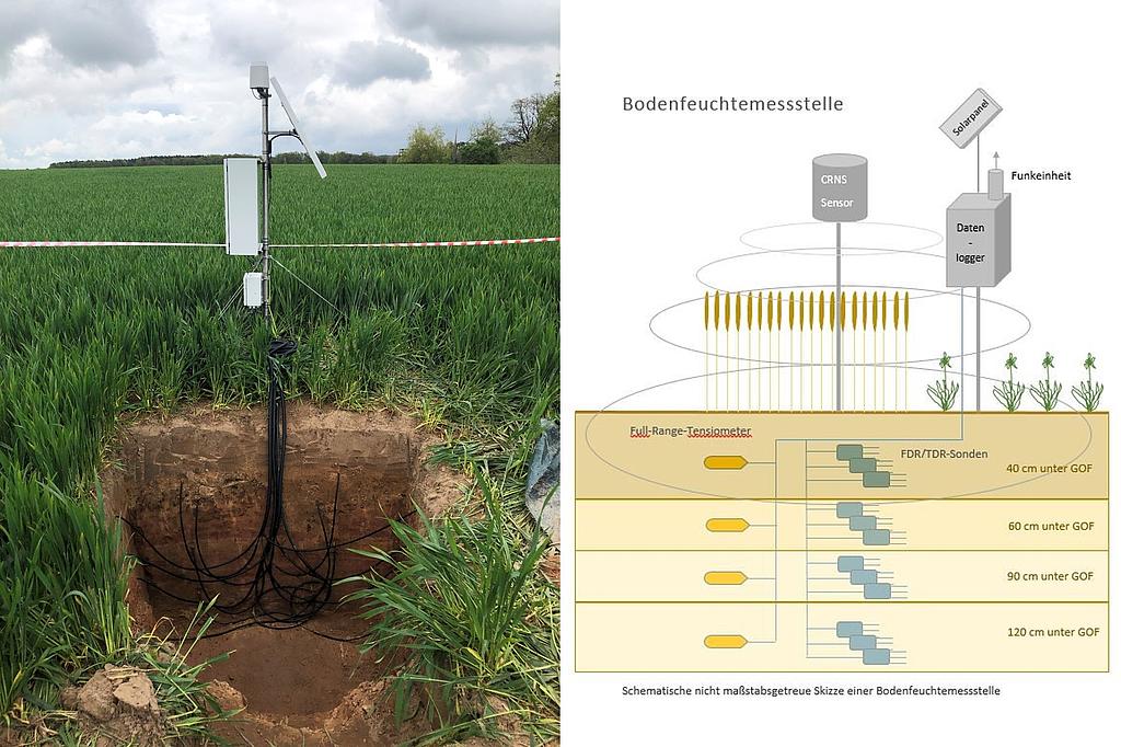 Foto und schematische Darstellung einer Bodenfeuchte-Messstelle