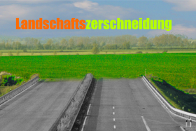 im Bau befindliche Autobahn