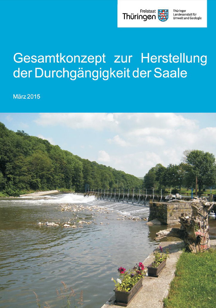 Durchgängigkeit Saale
