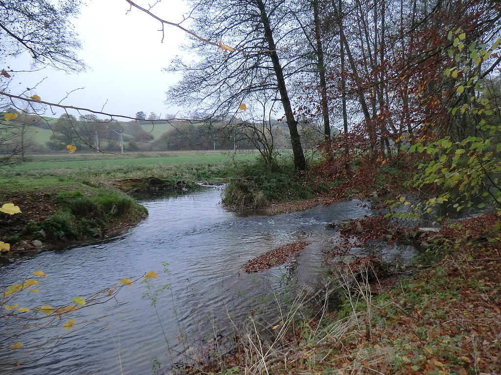 Ausleitung der Mündung