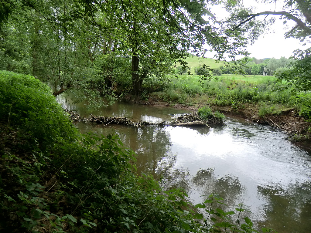 Strukturelement in Abschnitt 7