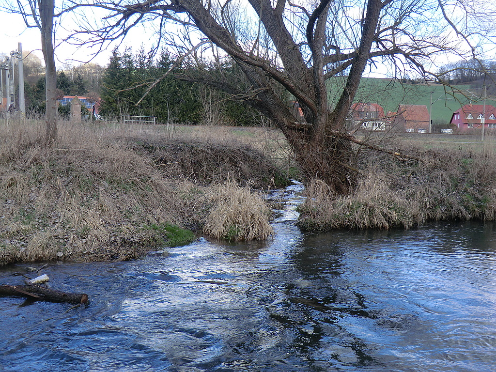 Mündung Schwobach