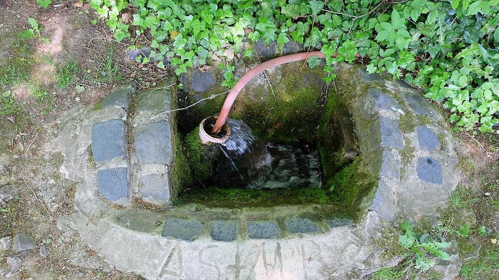 Offene Quellfassung