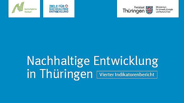 Vierter Indikatorenbericht zur TNS