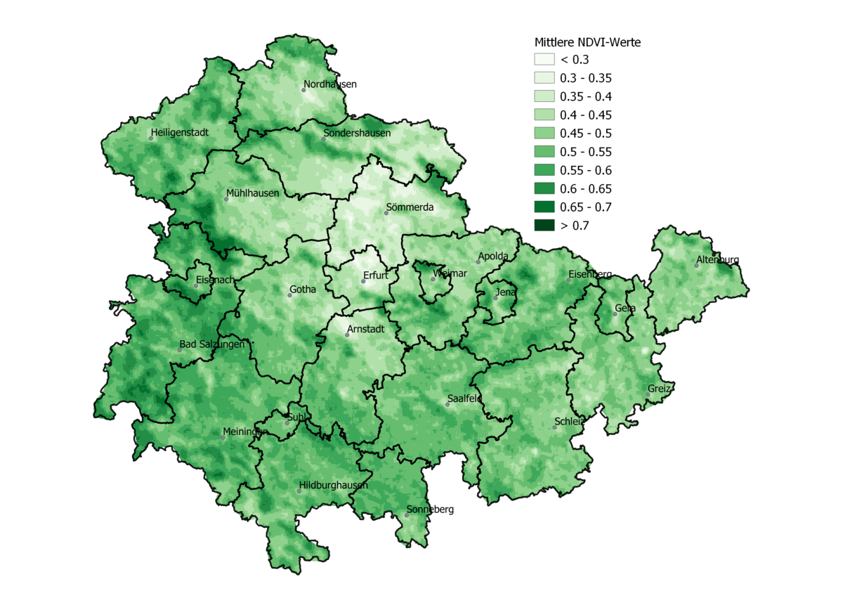 Thüringenkarte mit dem Vegetationsindex NDVI von kleiner 0 komma 3 in weiß bis zu größer null komma sieben in dunkelgrün