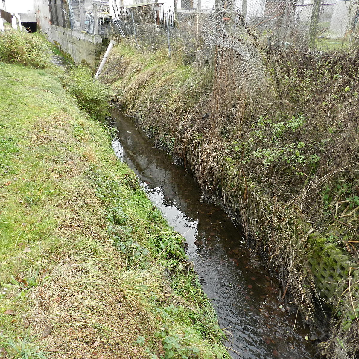 begradigter Bach