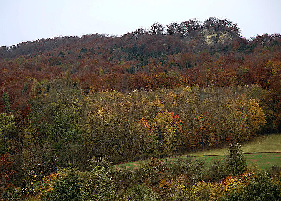 NSG 68, Blick vom ehemaligen Grenzstreifen (Grünes Band) östlich Asbach (Landkreis Eichsfeld) nach Nordnordwest zur Muschelkalkklippe der „Nase“. (Foto: Holm Wenzel 30.10.2021)