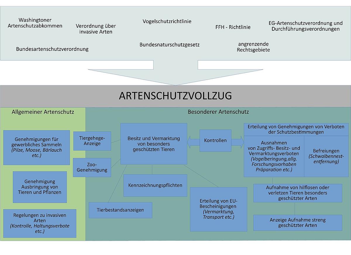 Übersicht über die Aufgaben des Artenschutzvollzugs (Bild: TLUBN)