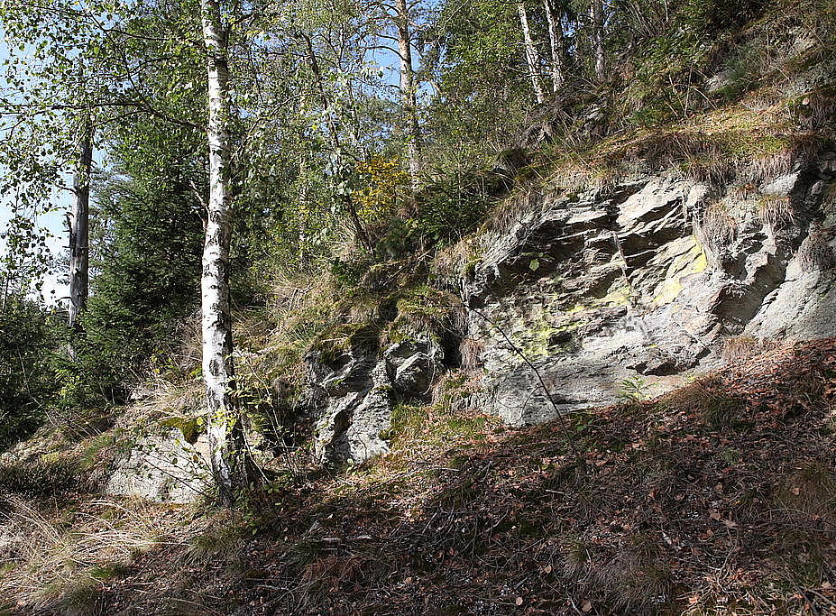 NSG 170, Felsbildungen der sandigen Schiefer in der Mitte des zerklüfteten Prallhanges zur Saale im NSG „Alpensteig“ nördlich Harra (Saale-Orla-Kreis). (Foto: Holm Wenzel, 29.09.2011)