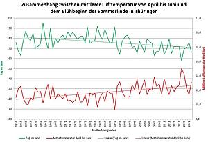 Dargestellt ist die mittlere Lufttemperatur von April bis Juni und der mittlere Blühbeginn der Sommerlinde in Thüringen. Es ist erkennbar, dass die mittlere Lufttemperatur im dargestellten Zeitraum tendenziell zugenommen hat und damit ein Trend hin zu einer Verfrühung der Sommerlindenblüte verbunden ist.