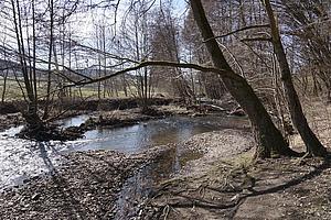 Foto: TLUBN
