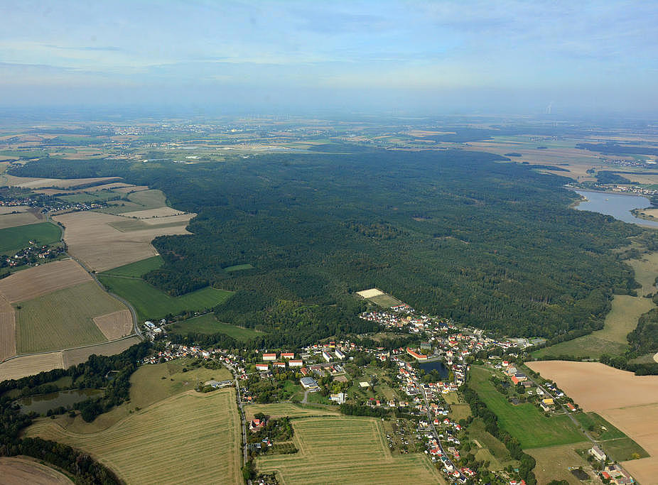 NSG 185, Blick von Südosten auf das gesamte Waldgebiet der "Leina" (NSG und FFH-Gebiet "Leinawald"). Im Vordergrund: Langenleuba-Niederhain (Landkreis Altenburger Land), am Bildrand rechts: Talsperre Schömbach. (Foto: Detlef Stremke/Archiv TLUBN, 23.09.2019)