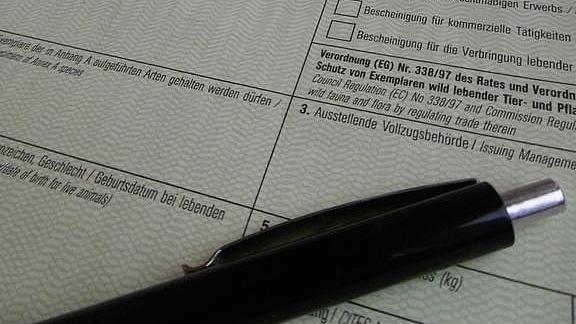 Symbolbild Genehmigung (Bild: TLUBN) Symbolbild Genehmigung