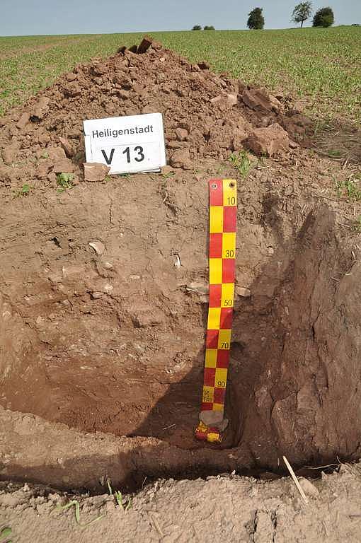 Foto eines Bodenprofils