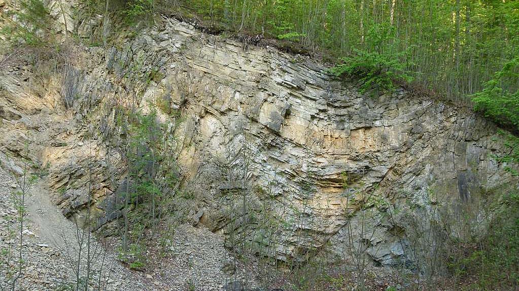 Gesteinsaufschluss im Muschelkalk bei Erfurt
