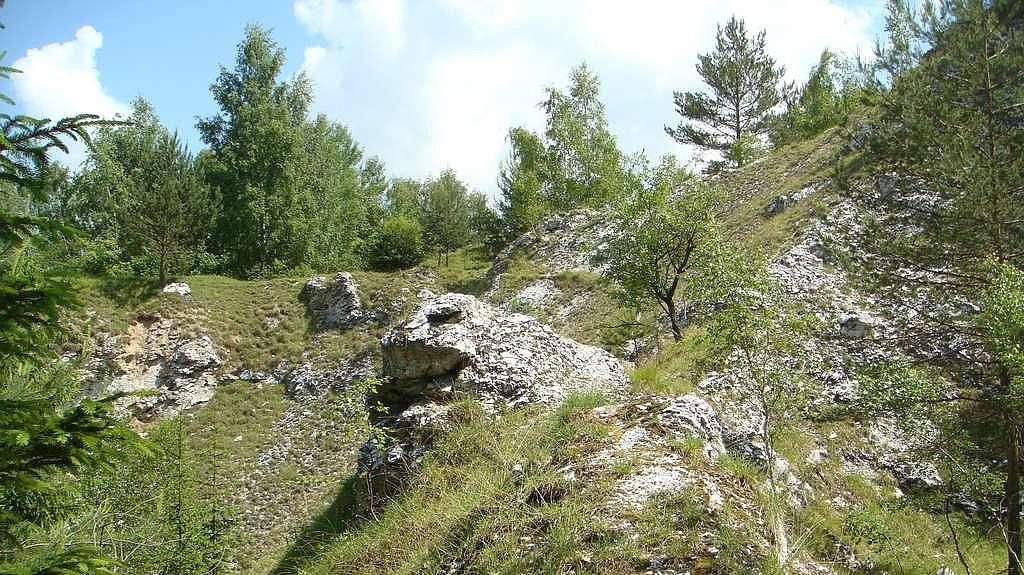 Gipsfelsen, Woffleben (Aufn. RANA)